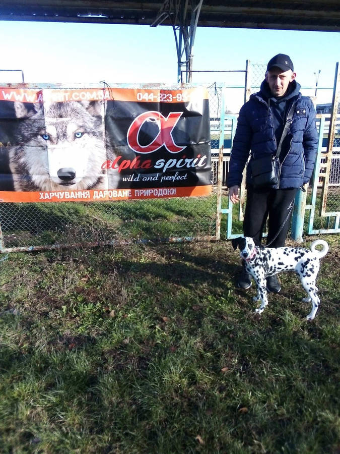 Фотография  Константин  из Днепропетровская обл., Днепропетровск, Таромское